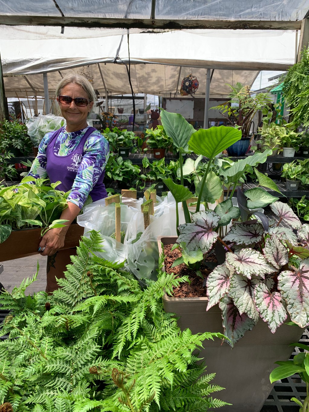 Duncheon’s Nursery & Blue Buddha&nbsp;Farm